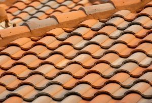Protect your roofing system from all its natural enemies.