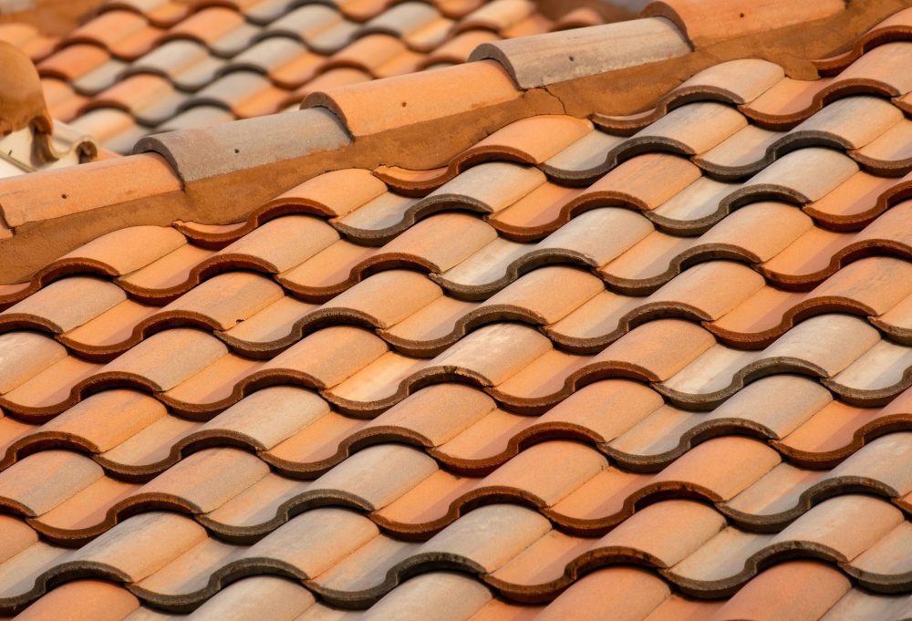 Protect your roofing system from all its natural enemies.