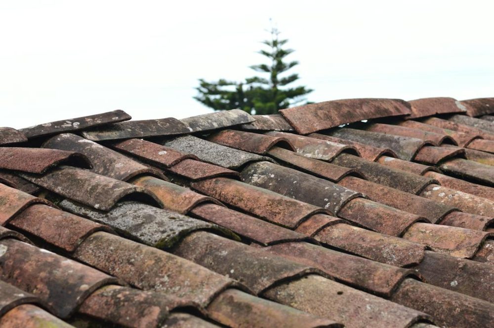 Your roof is an important asset.