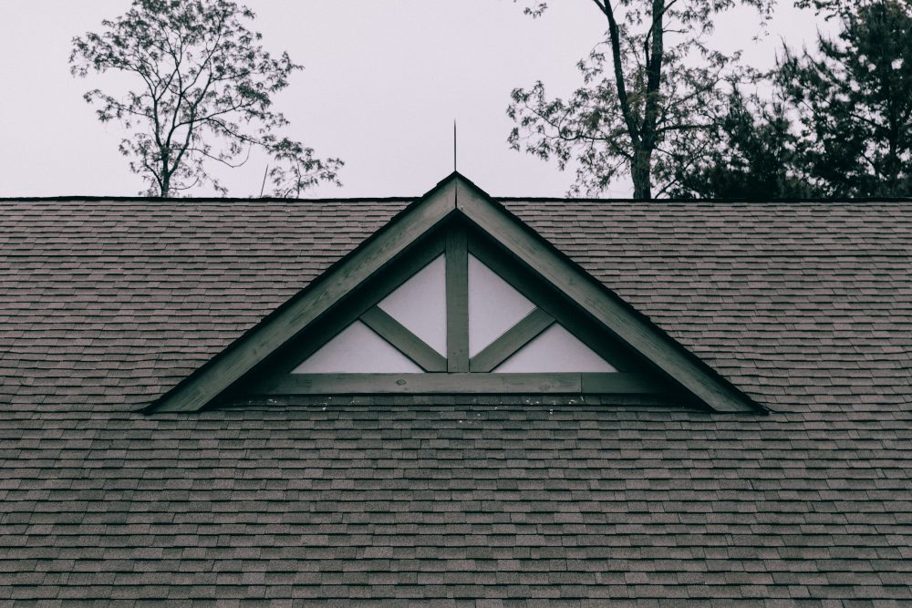 3 Underrated Natural Enemies of Your Roof and Ways to Fix It