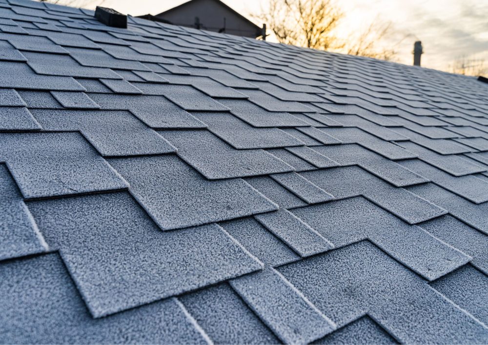 Shingle Roofing 101: What To Know Before You Replace Your Roof
