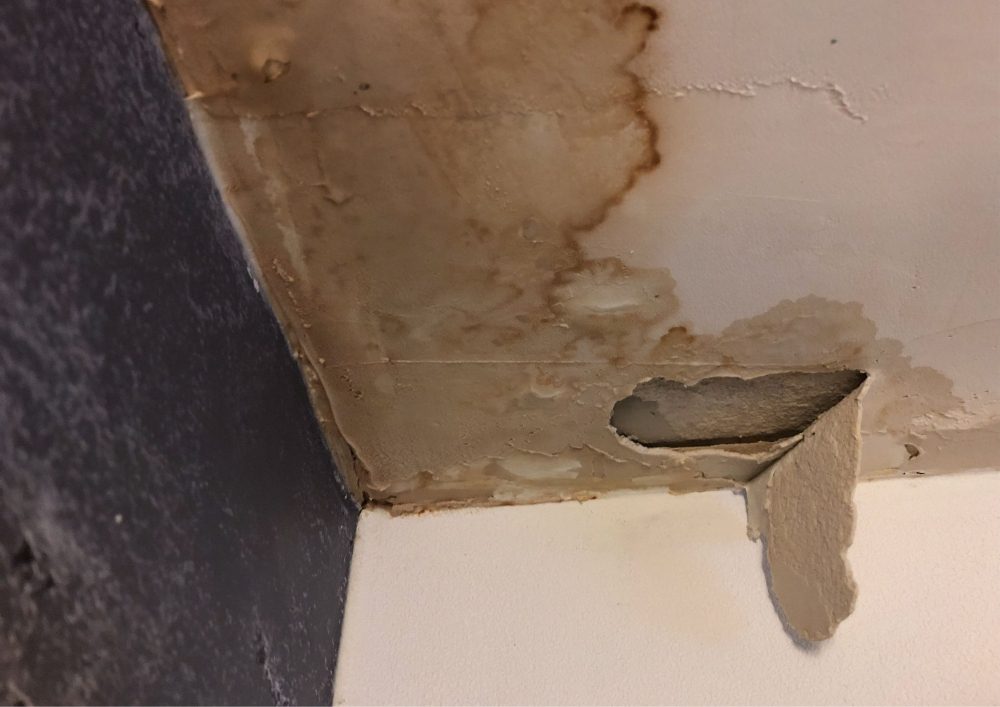 Always inspect if you have signs of roof leaks.