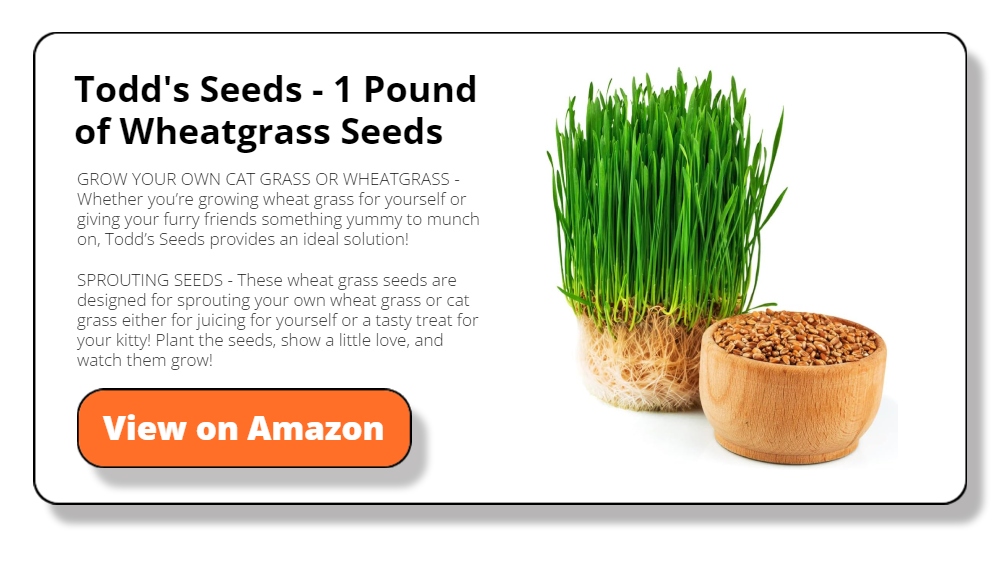 Todd's Seeds - 1 Pound of Wheatgrass Seeds