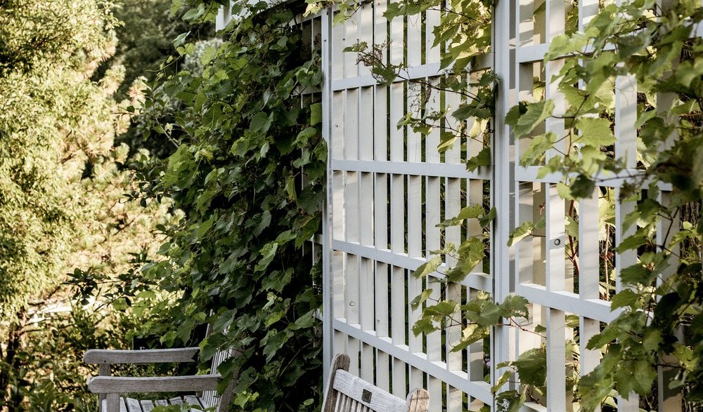 Screens and Trellises