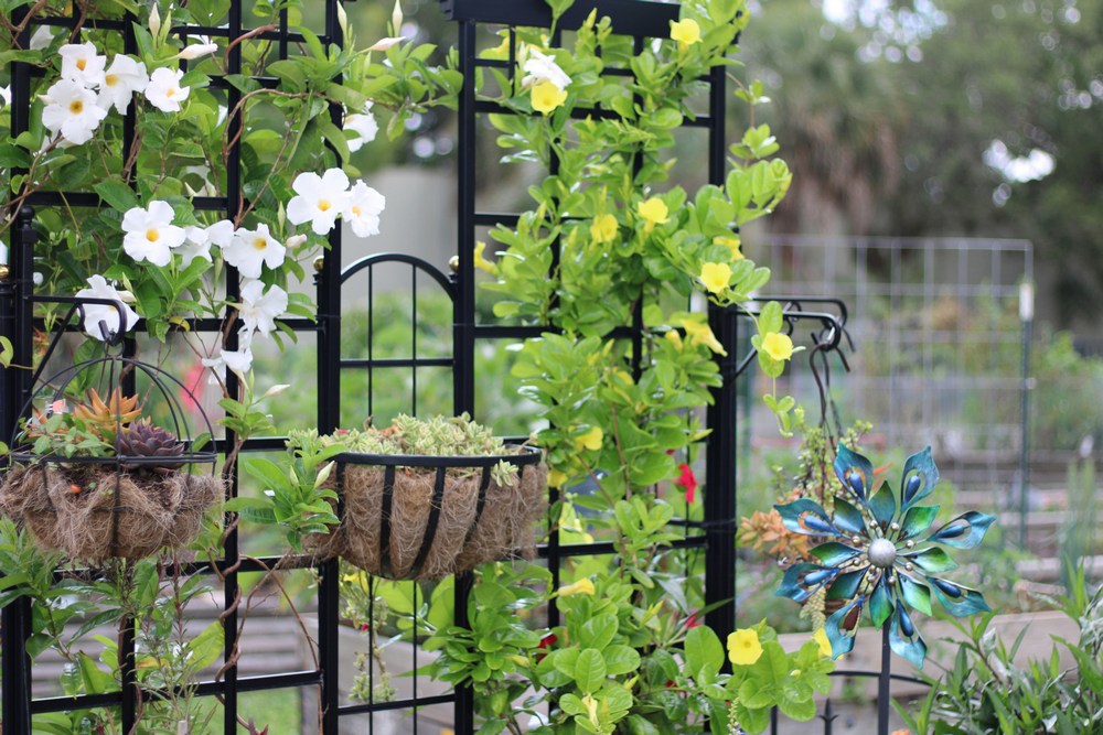 Screens and Trellises