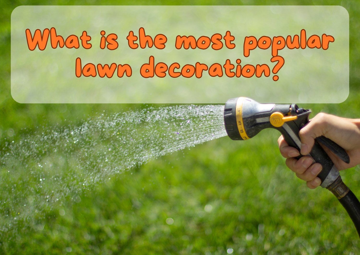 What is the most popular lawn decoration?