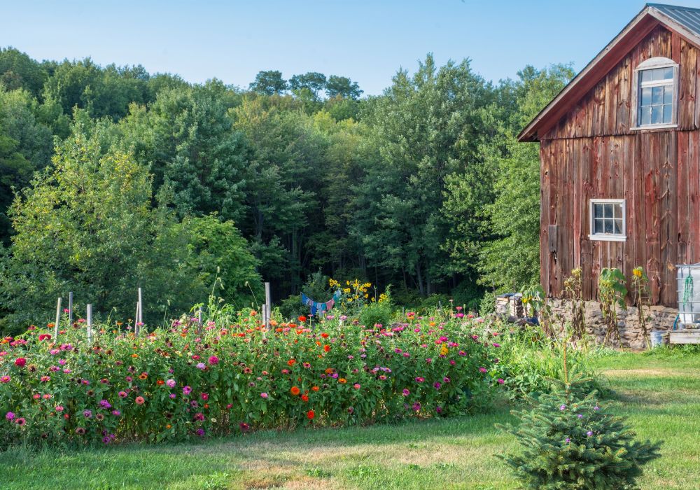 An image of a homestead layout.