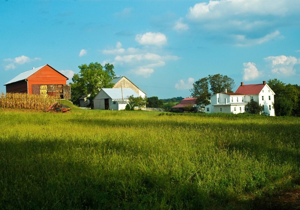 An image of a homestead layout.