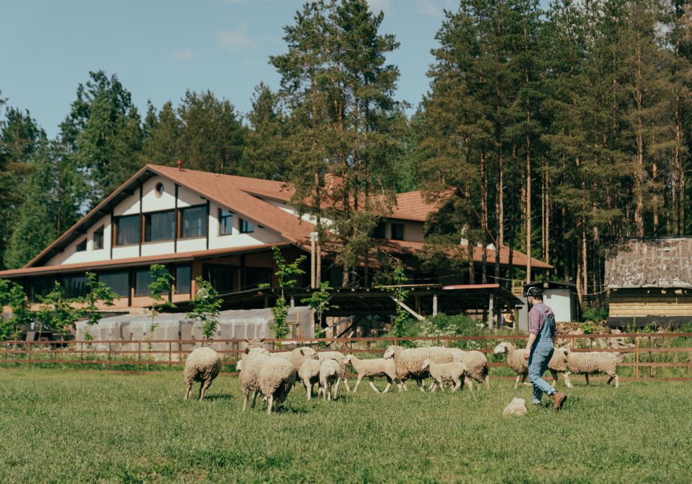 An image of a homestead layout.