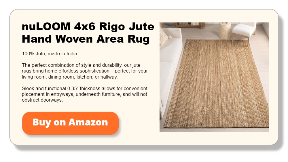 nuLOOM 4x6 Rigo Jute Hand Woven Area Rug