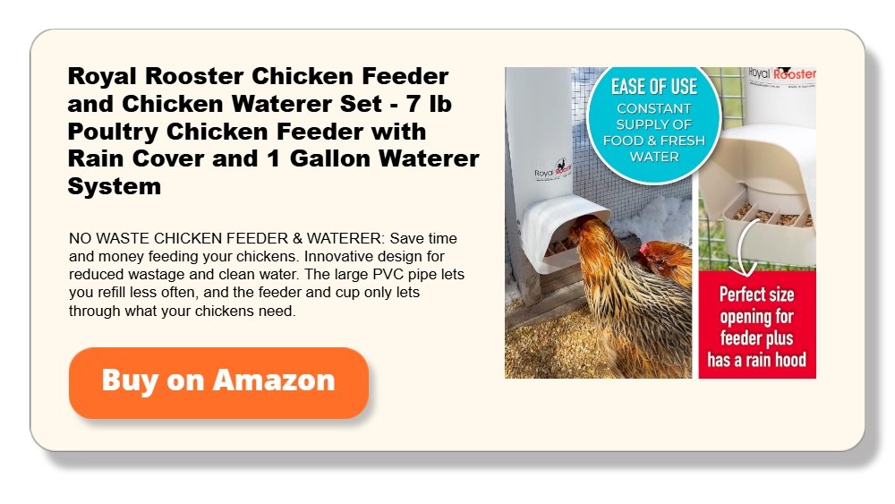 Royal Rooster Chicken Feeder and Chicken Waterer Set