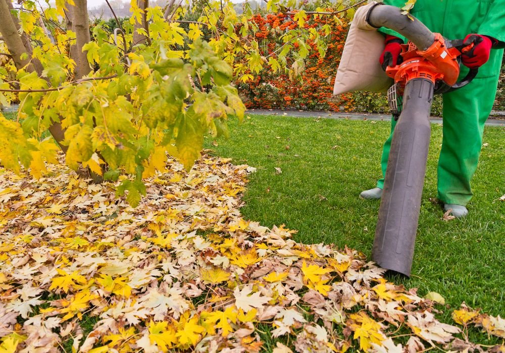 An image of a leaf mulcher vacuuming yard debris. 