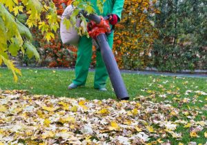 An image of a leaf mulcher used to clear a yard.