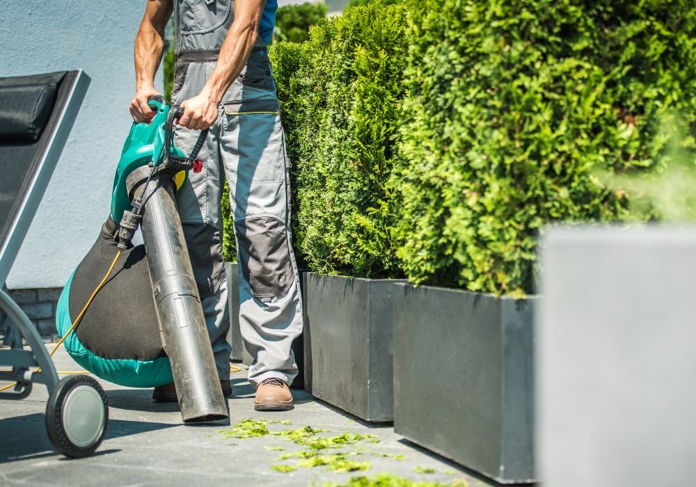 A worker clearing a driveway of leaves with a mulcher. 