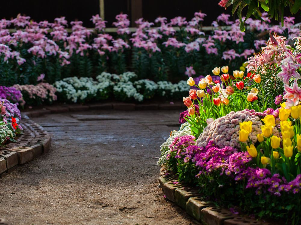 An image of flowers for a secret garden.