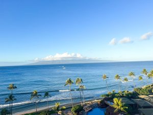 Best investment opportunities on Maui