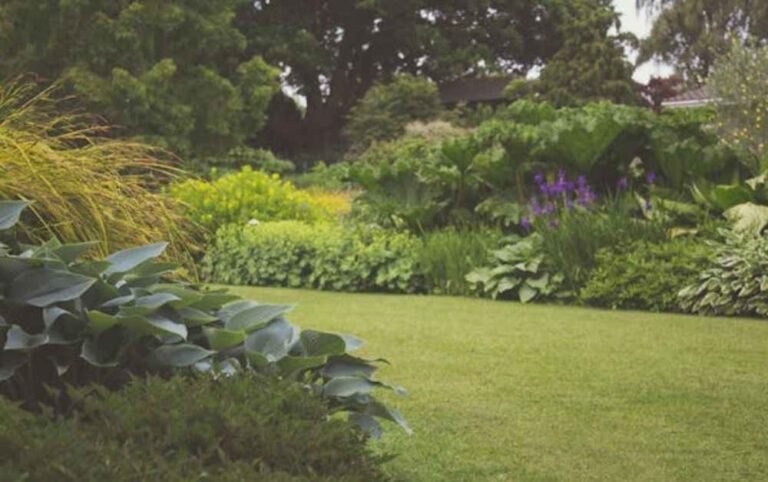 An image of a residential outdoor space.