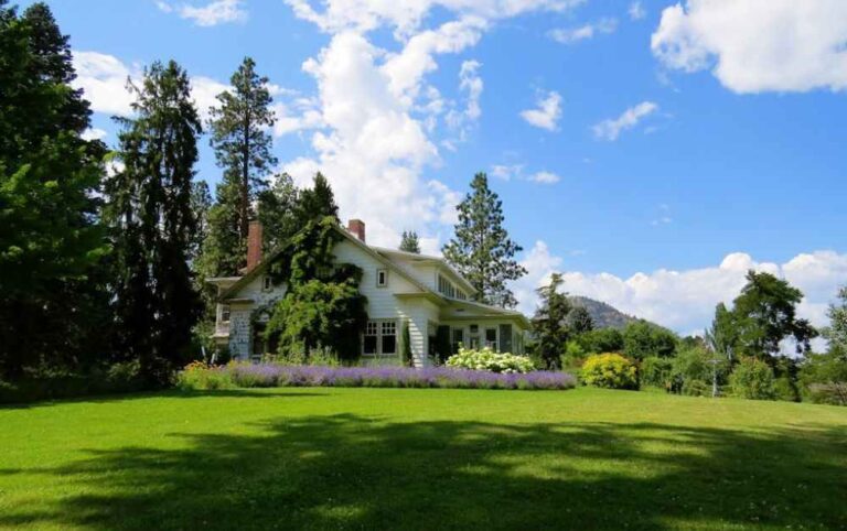 An image of a lush lawn after receiving proper modern lawn maintenance.