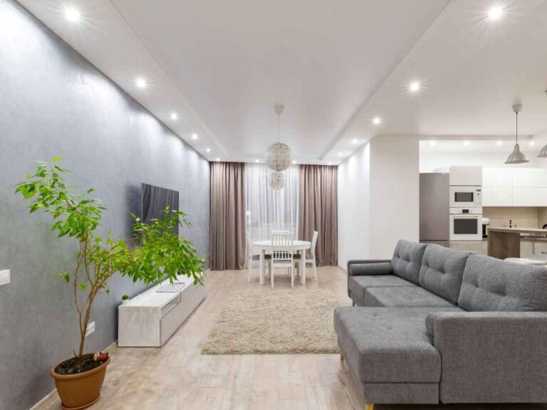 Studio Apartment Layout Plans: Open Plan vs Partitioned