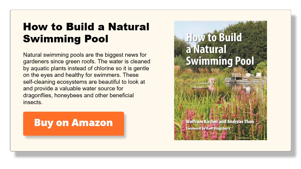 How to Build a Natural Swimming Pool