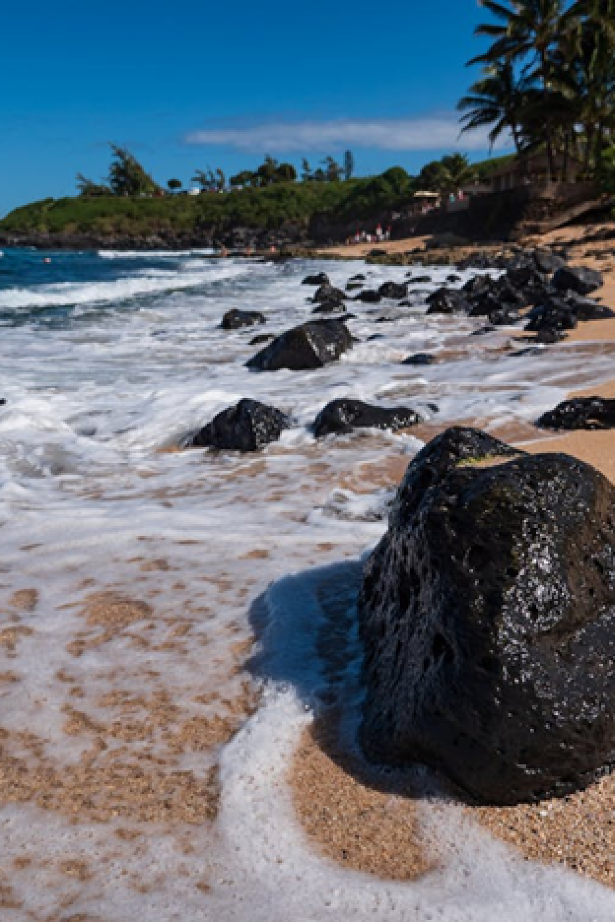 Maui living