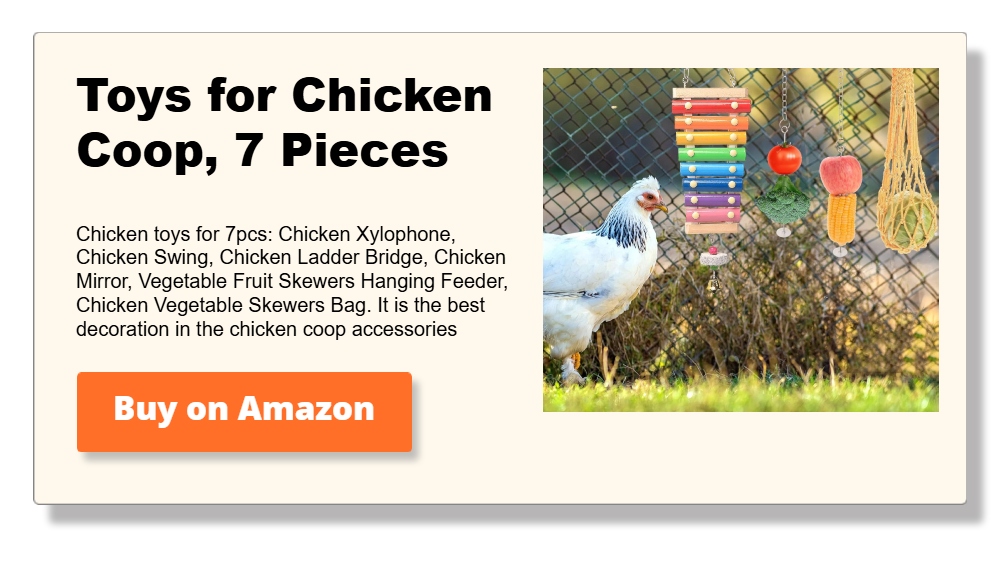 Toys for Chicken Coop