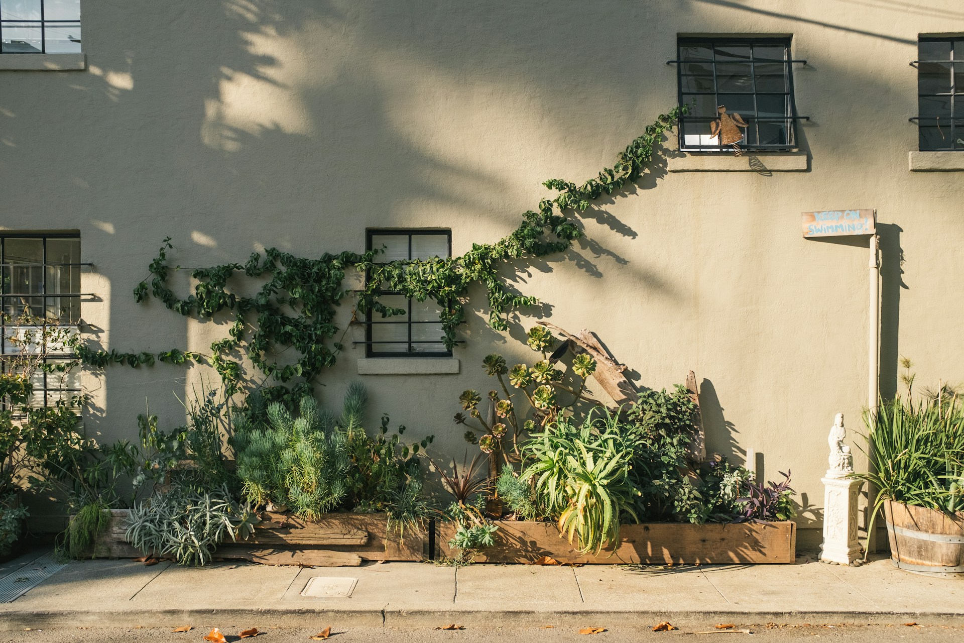 Complement your hardscape by creating a balanced and vibrant outdoor environment.