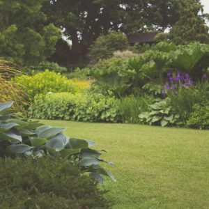 An image of a front lawn for an article about landscaping project tips.