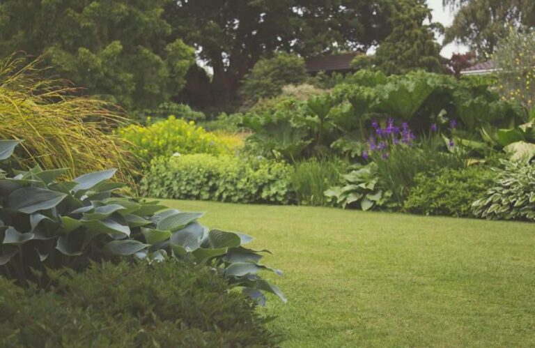 An image of a front lawn for an article about landscaping project tips.