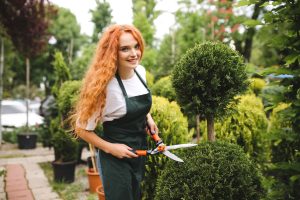 Sustainable Landscaping: Creating an Eco-Friendly Outdoor Space