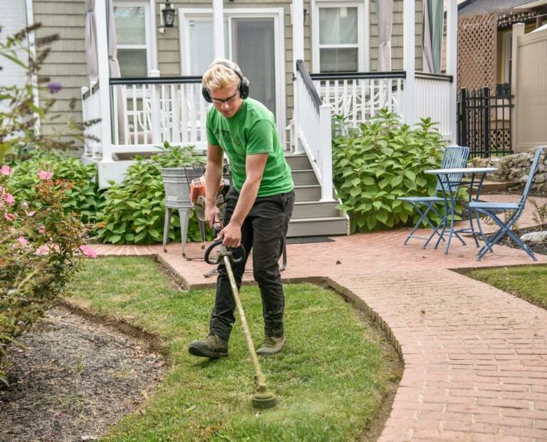 6 Effective Lawn Care Tips for New Homeowners
