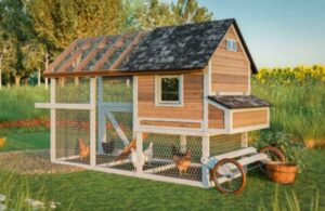 DIY Mobile Chicken Coop: Step by Step Instructions & Full Plan