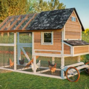 DIY Mobile Chicken Coop: Step by Step Instructions & Full Plan