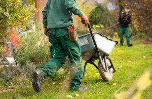 An image of a landscaper planting trees.