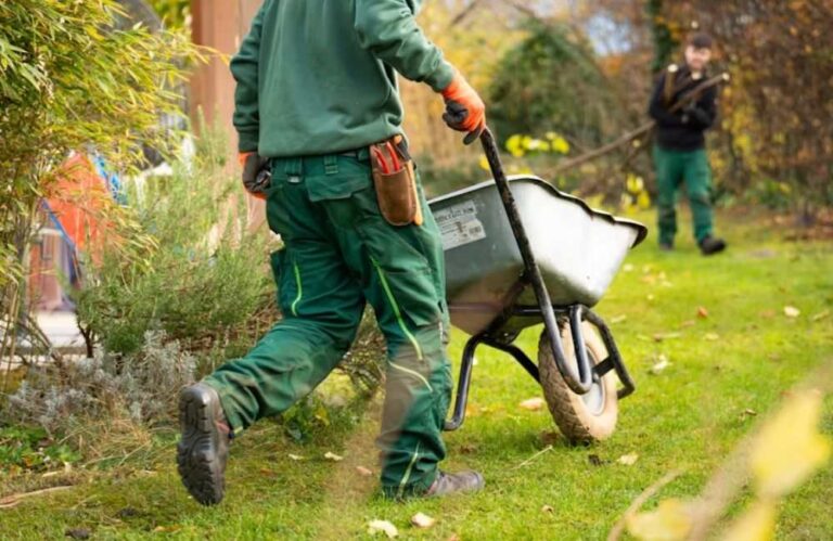 An image of a landscaper planting trees.