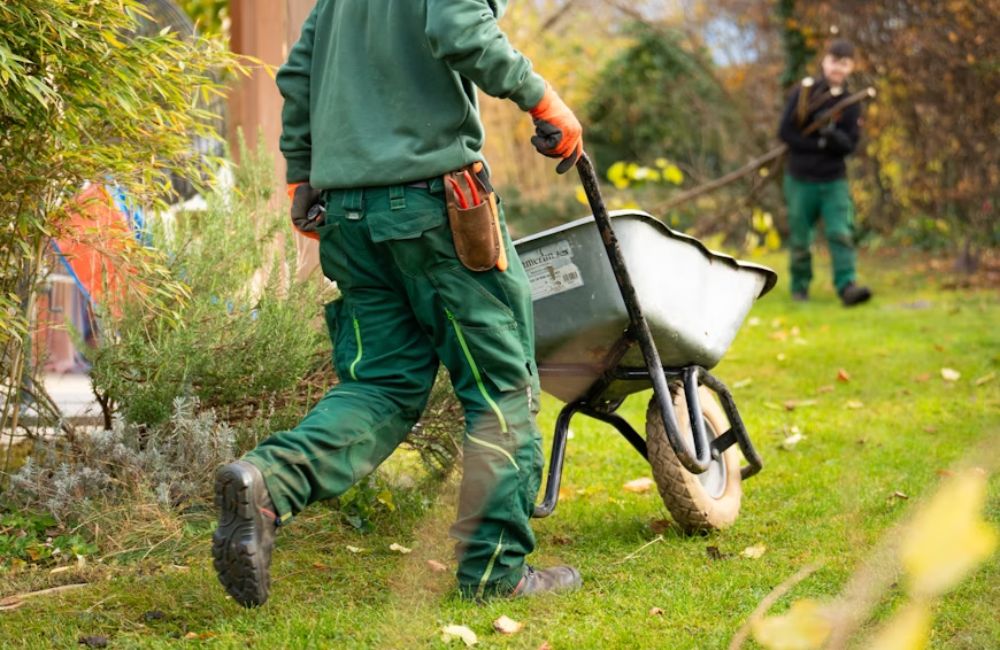 An image of a landscaper planting trees.
