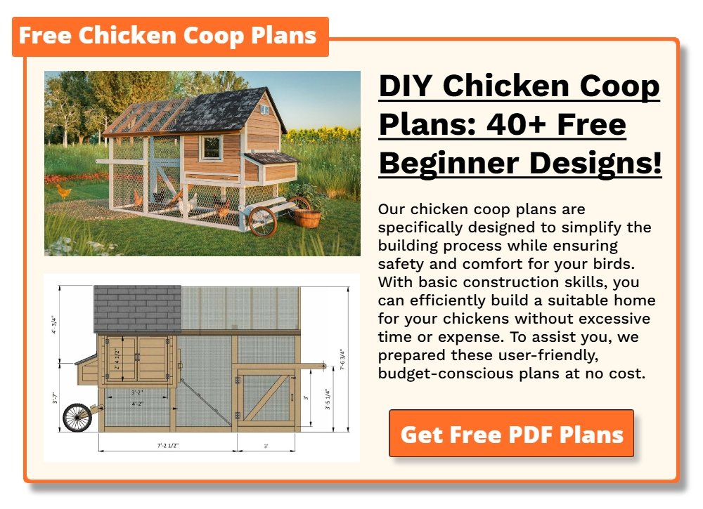 Free Chicken Coop Plans Mobile