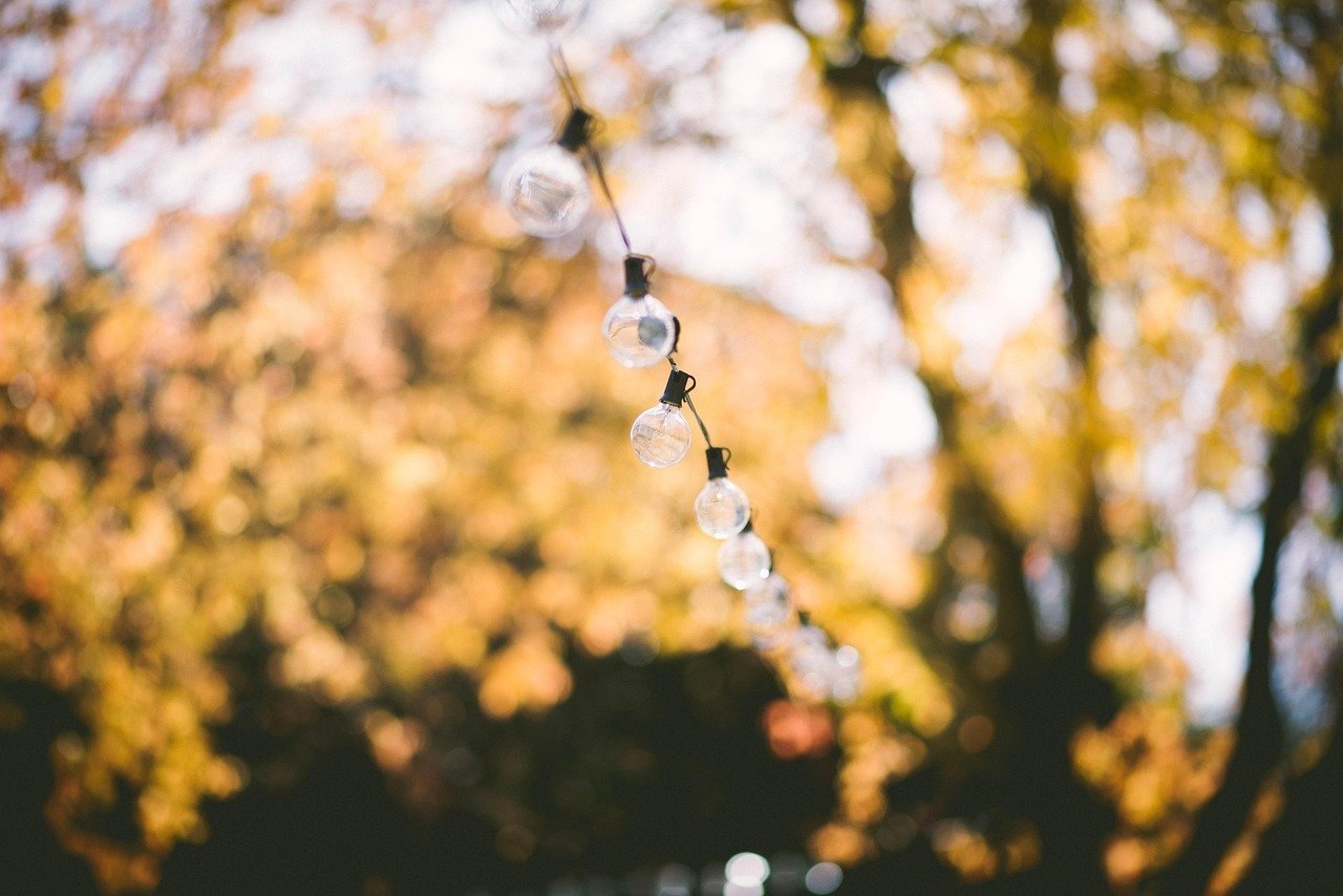An image of string lights.