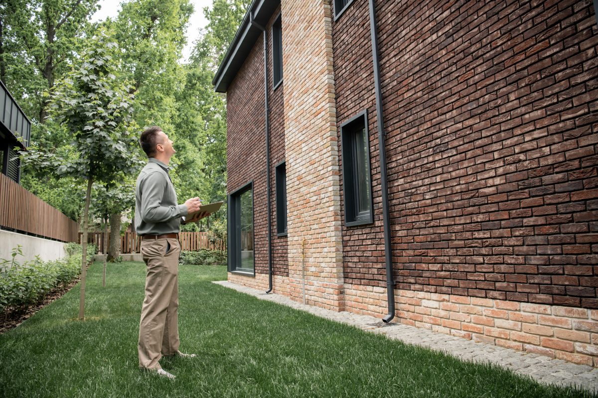 Building and pest inspection